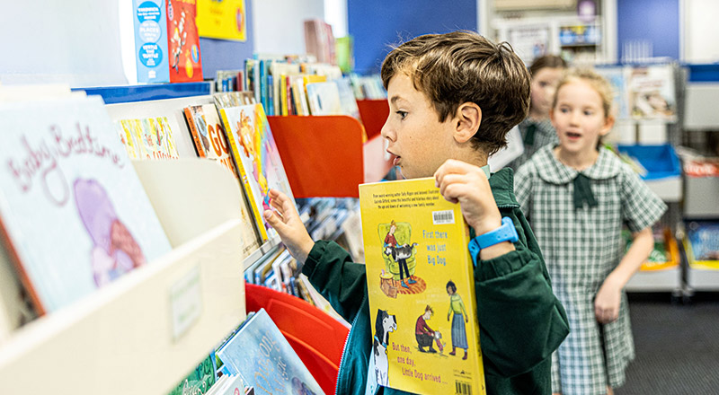Our Lady of the Way Catholic Primary Emu Plains School Library